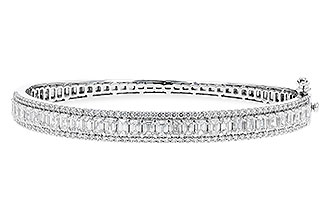 B301-10066: BANGLE 4.19 E.C. 5.30 TW